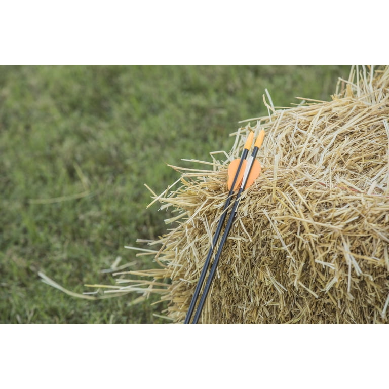 Bear Archery Youth Safetyglass Arrows ? 26