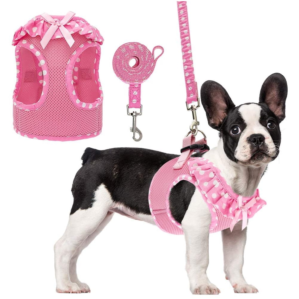 Soft A-line Chest Strap with Bowite Bell No Pull Dog Harness for Small Dogs Cats Puppies PUPTECK Small Dog Harness and Leash Set 