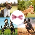 thumbnail image 5 of Formal Dog Bow Tie For Medium And Large Dogs, 5 of 5