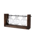 thumbnail image 1 of Hydroponic Vase Simple Decorative Glass Flower Vase Plant Terrarium with Wooden Stand, 1 of 5