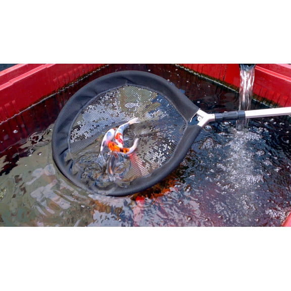18 Inch Koi Net with Telescopic Handle