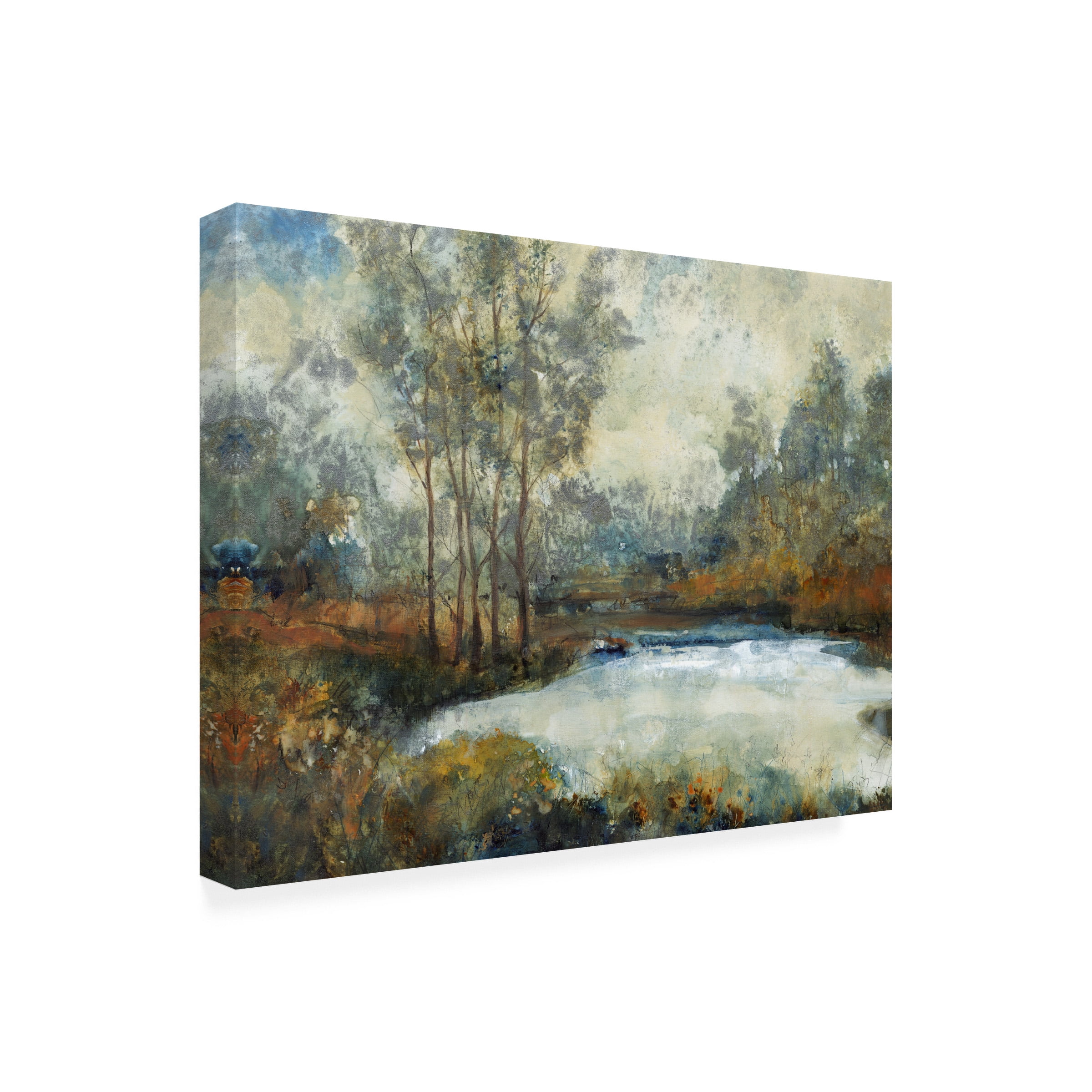 Trademark Fine Art Tim OToole Ethereal Light I Canvas Wall Art - 18x24
