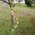 thumbnail image 4 of SPRING PARK Hanging Guardian Angel Wings Wind Chime Tube Bells Home Pendant Charm Gift Decor, 4 of 7