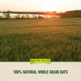thumbnail image 3 of Nature Valley Crunchy Granola Bars Oats 'N Honey - 98 Bars Of 2 bar Pouches of 49ct-1.49oz, 3 of 5