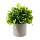 thumbnail image 2 of Plantas artificiales de bonsái en maceta para la decoración del hogar: plantas verdes artificiales de plástico para la decoración de la sala de estar, la oficina, el mueble bar, el estante o el e, 2 of 6