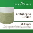 thumbnail image 2 of Planterist Cesta Organizadora Grande Tejida – Algodón Lavable, Plegable y Portable – Multiusos 33.5x34 cm para Almacenaje, Decoración y Ropa Sucia (Tulum), 2 of 9