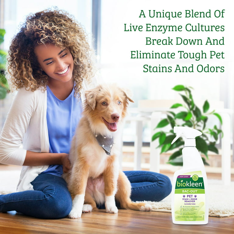 Biokleen Bac-Out Stain Remover for Clothes & Carpet - 32 Ounce 2 Pack - Natural Enzymatic Foam Spray, Destroys Stains & Odors Safely, for Pet Stains
