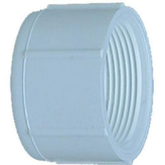 Genova Products PVC Cap 30168 - Durable Female Pipe Cap Fitting - Pack Of 1