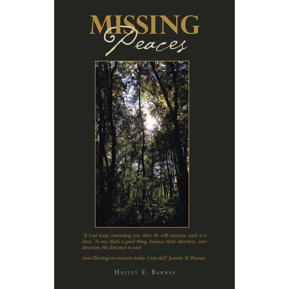 Missing Peaces (Paperback)
