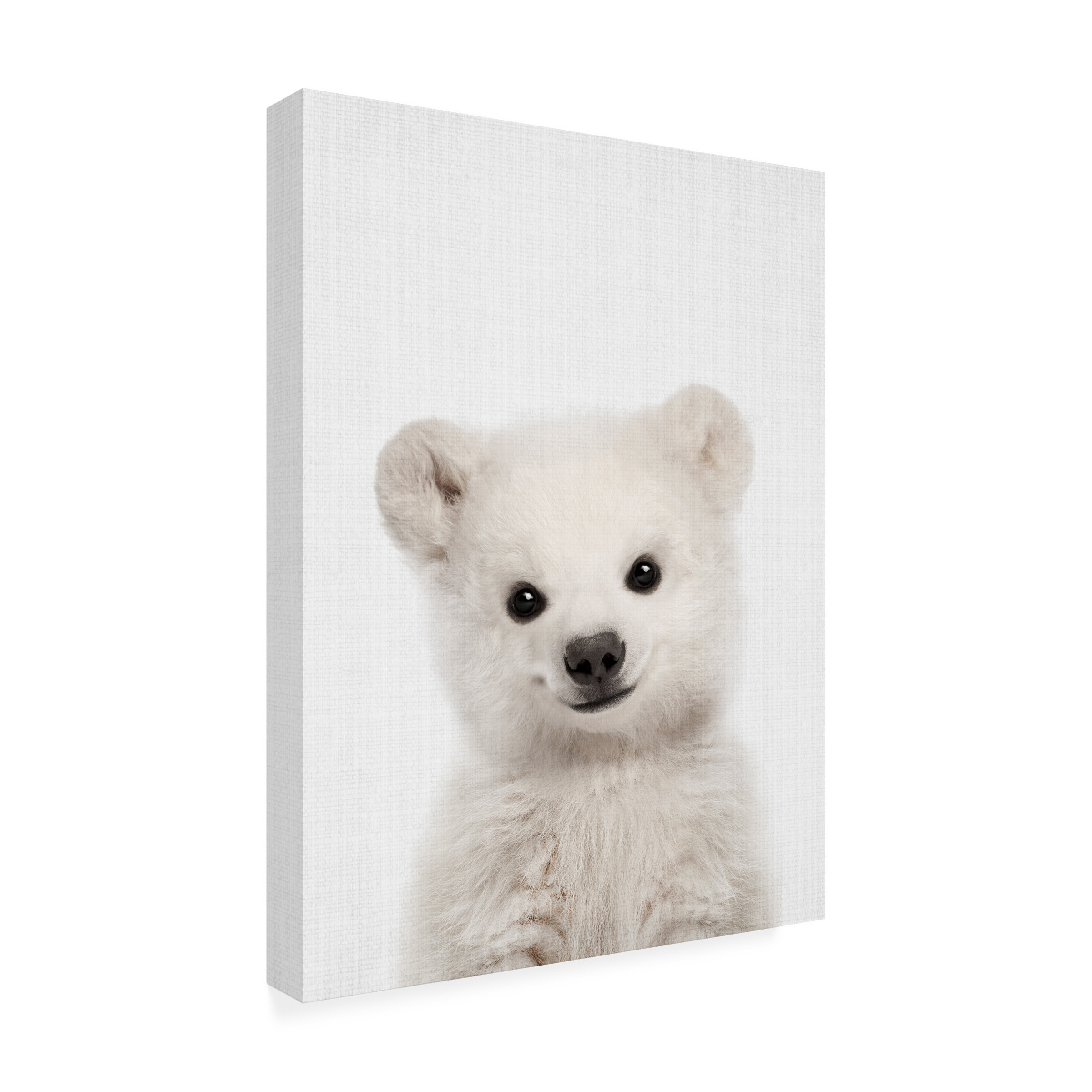Lola Peacock 'Peekaboo Baby Polar Bear' Canvas Art
