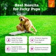 thumbnail image 2 of Zesty Paws Itch Relief Bites for Dogs, for Itch Relief & Skin Health, Chicken 60 Count, 2 of 10