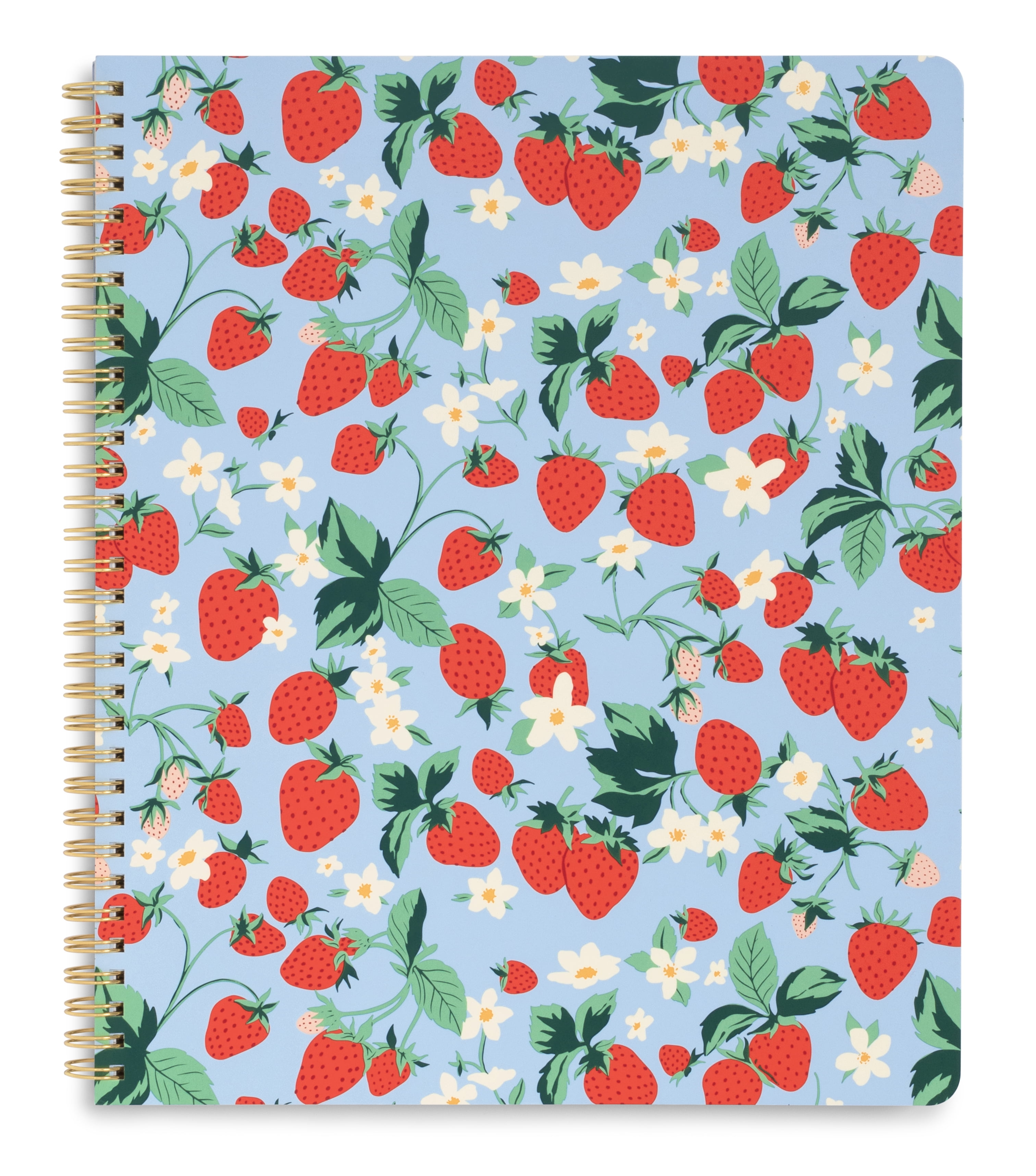 Ban.Do Large Spiral Notebook, 11x9, Pockets, 160 College Ruled Pages, Strawberry