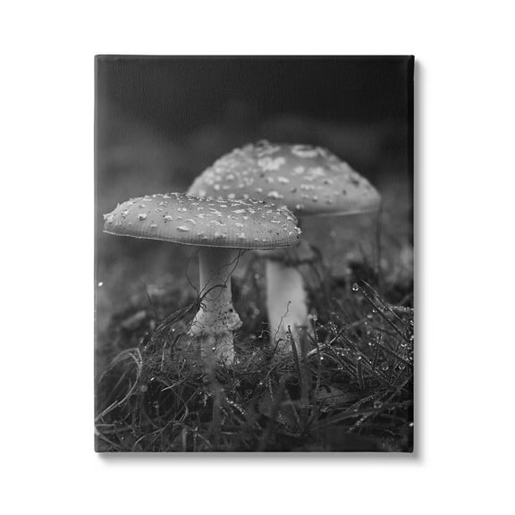 Stupell Industries Grey Mushroom Photography Botanical & Floral Photography Gallery Wrapped Canvas Art Print Wall Art, 16 x 20