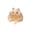 A, variant on Cute Hamster Squeeze Stress Reliever – Slow Rising Soft Rubber Sensory Fidget, Adorable Pet Shape Pinch Tool for Desk, Perfect Party & Gift