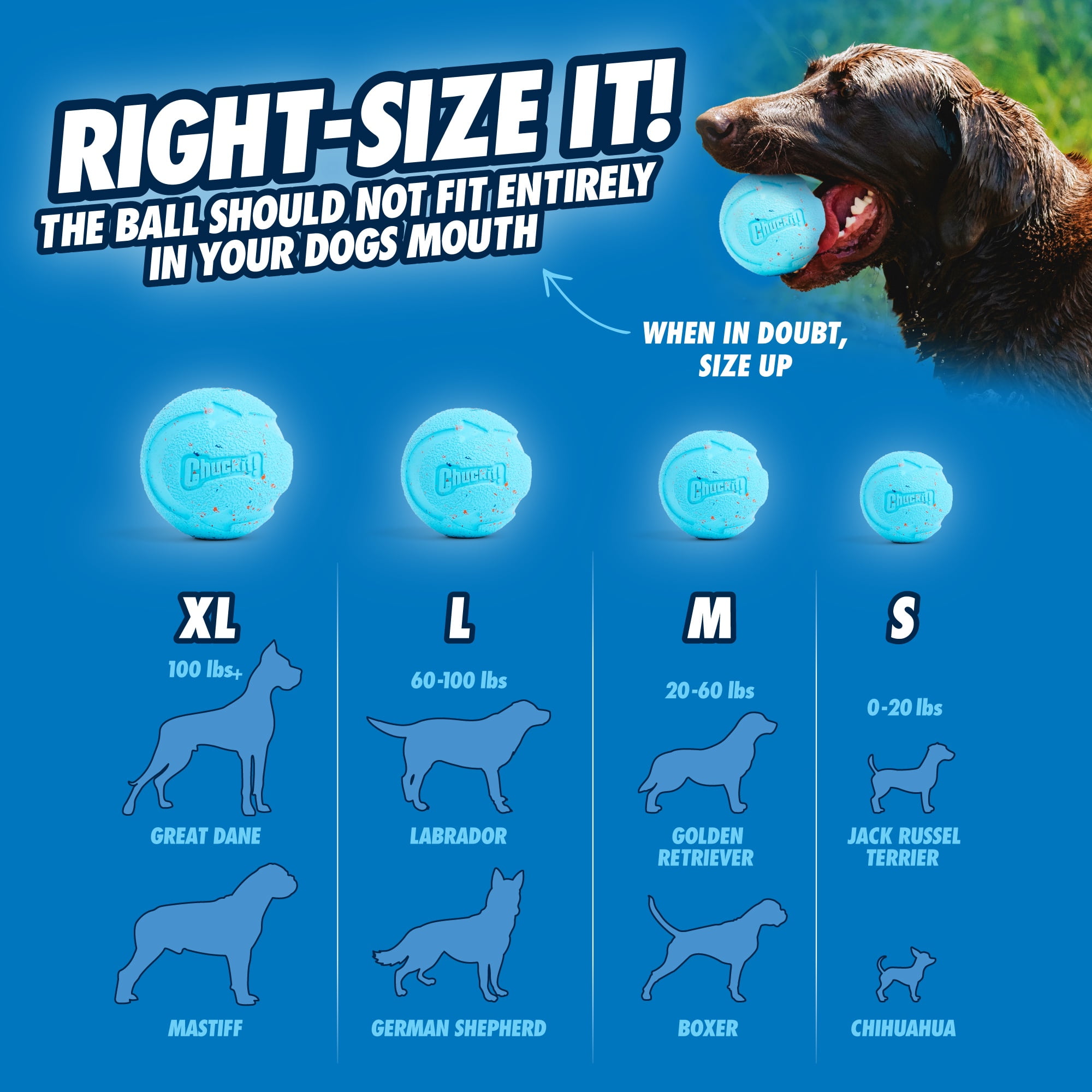(3 pack) Chuckit! Rebounce Dog Ball Ecofriendly Rubber Fetch Toy For Dogs, Medium 2.5", For Breeds 20 to 60 lb, Pack of 2, Bright Blue