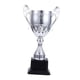 thumbnail image 4 of Trofeos de premio Trofeo pequeño para niños Copa de trofeo de premio para fútbol Fútbol Béisbol Plata S, 4 of 9