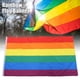 thumbnail image 3 of Bandera de arcoíris para ondear a mano, banderas de orgullo gay y lesbianas de poliéster con ojales, 3 of 14