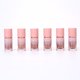thumbnail image 5 of Xihbxyly Artículos en liquidación Rubor líquido mate transparente Rubor natural deborde Ambient Sense Of Desire Rostro pseudovegetariano Versátil 3 ml, 5 of 5