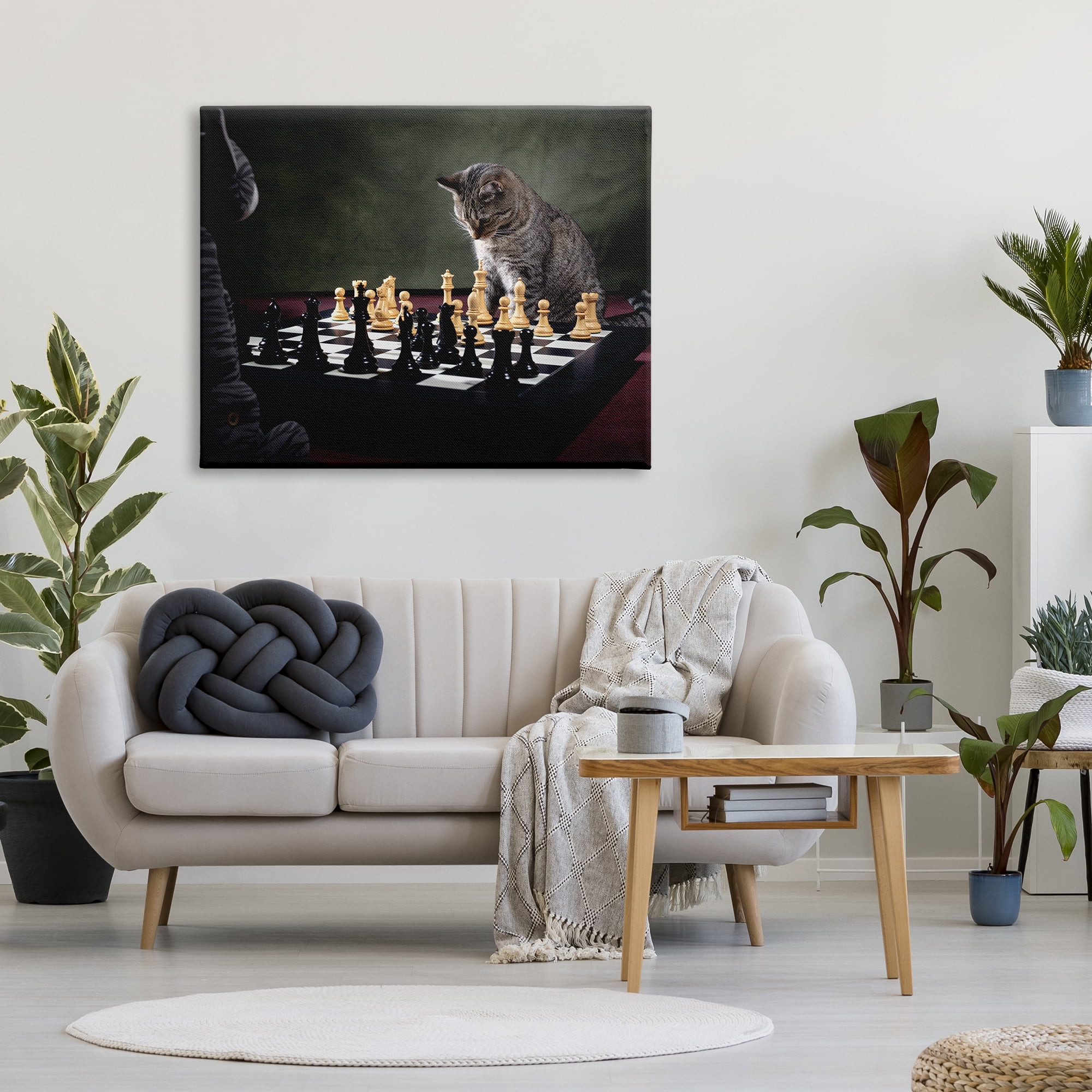 Stupell Industries Cats Playing Chess Animals & Insects Photography Gallery Wrapped Canvas Art Print Wall Art, 48 x 36