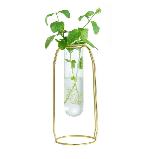 Recipiente de Plantas Hidropónicas Soledad Soporte de hierro Florero