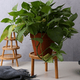 thumbnail image 4 of Flower Pot Tray Solid Wood Flower Shelf Indoor Desktop Living Room Potted  Pothos Floor-Standing Vase Base, 4 of 6