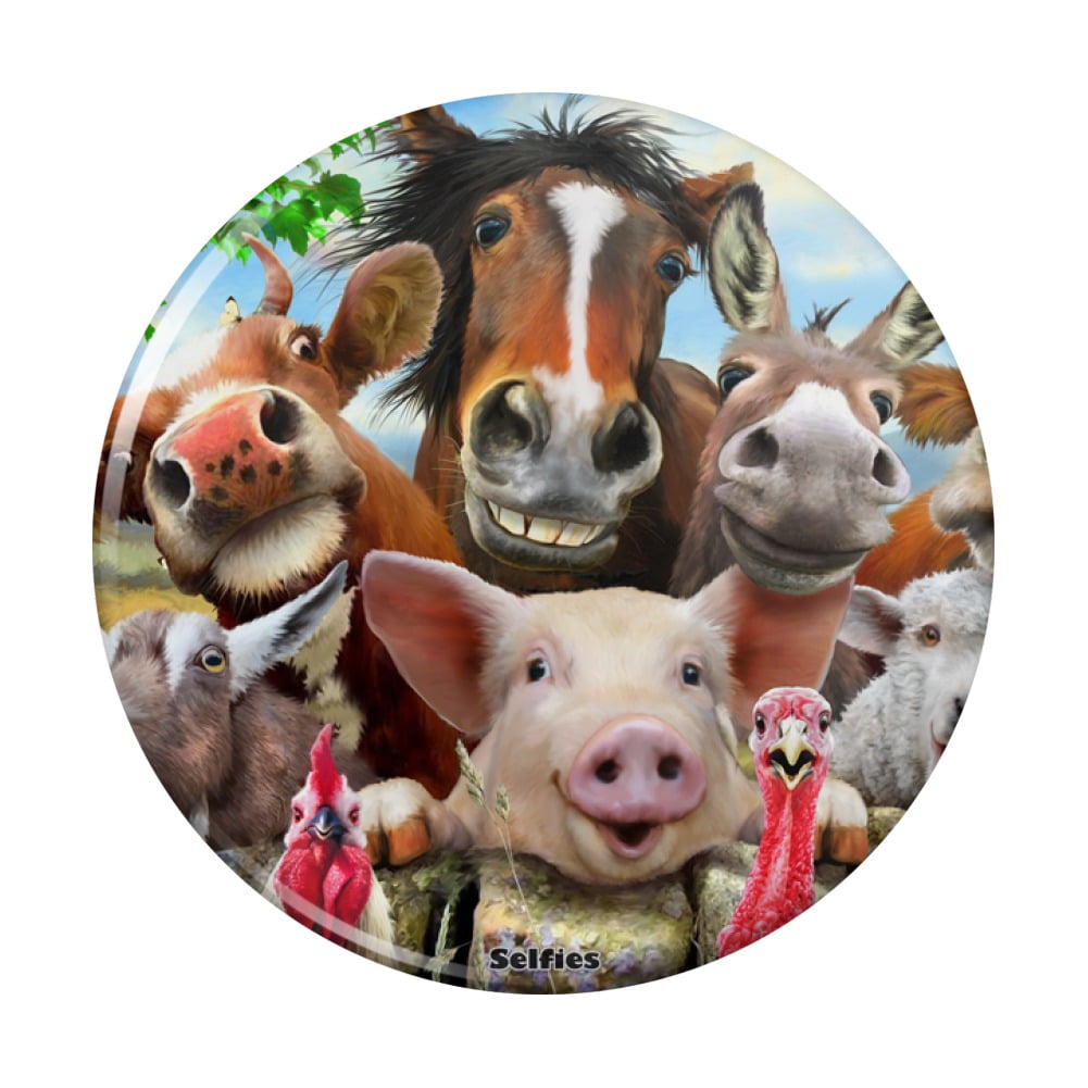 Farmhouse B&B Bed Breakfast Country Animals Donkey Gift Novelty Fridge Magnet 