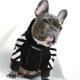thumbnail image 5 of Sudadera con capucha para perros de moda para mascotas, ropa deportiva para perros de otoño e invierno, 5 of 6