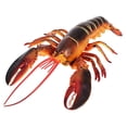 thumbnail image 2 of Marine Life Model Set Lobster Model Action Figures Home Decor Aquarium Landscape, 2 of 9