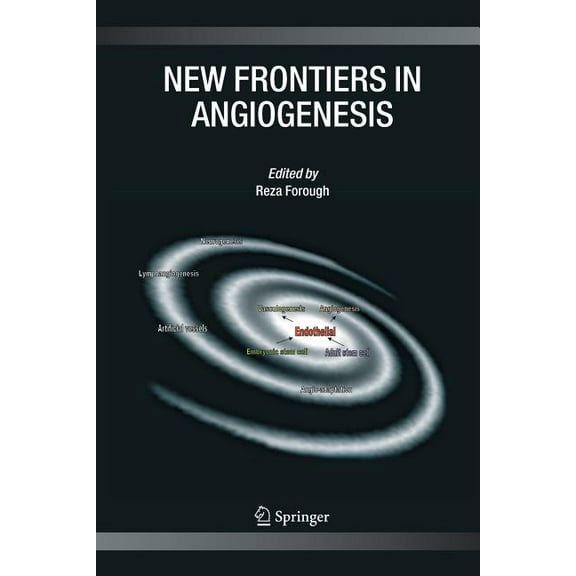 New Frontiers in Angiogenesis, (Paperback)