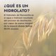thumbnail image 4 of Hidrolato de Avena HEBBE 120 ml con Propiedades Antiinflamatorias Para Cuidado de la Piel, 4 of 9