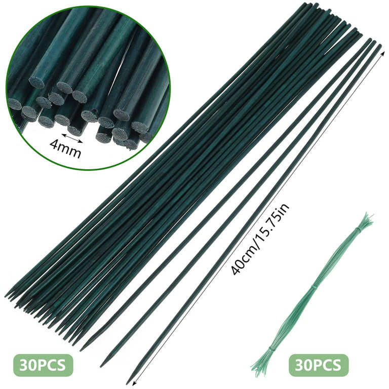 HCQXNSL Plant Support Stakes 30Pcs Bamboo Floral Support Pole Multipurpose Green  Garden Sticks with Plant Fixing Ties for Garden Potted Plant Vine Plant  Floral 