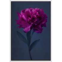 IDEA4WALL Framed Canvas Art Wall Decor A Red Chinese Peony with Black Background Floral Flower Photography Realism Romantics Closeup Relax/Calm for Dorm Home Office - 16"x24"