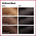 thumbnail image 4 of Revlon ColorSilk Hair Color, 20 Brown Black, 4 of 8