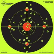 10 Pack - 12 inch Multi Bullseye - Splatterburst Shooting Targets -  AirSoft