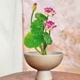 thumbnail image 5 of Yooshoverk Artificial Lotus, Realistic Flower Decor, Durable Vibrant, Easy Care, Home Display, 5 of 6