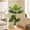 Deluxe Version, variant on Easy4Home 4FT Artificial Plant Fake Tropical Potted Tree Indoor Faux Floor Plant for Home Office Decor, White Pot