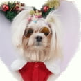 thumbnail image 4 of Greeniant Ropa para perros, vestido de Navidad, suministros para mascotas, gran resistencia, mano de obra fina, verde, bonito, transpirable, para Ropa para mascotas Rojo/S Greeniant PT004236-01, 4 of 6