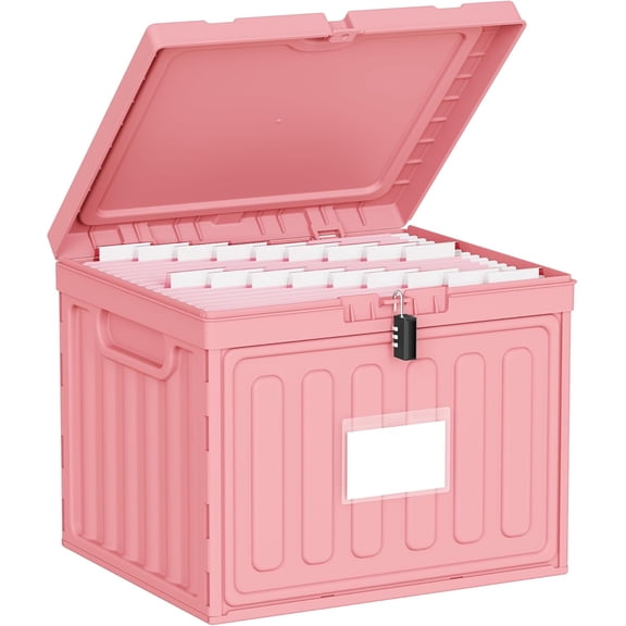 Plastic File Box with Lid for Letter Size Hanging File Folders, Hanging File Folder Box for Home, Office, School, File Cabinet, Assembly File Organizer, Stackable Storage Bins, Pink