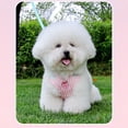 thumbnail image 2 of Cherry Embroidered Dog Harness, Lightweight Breathable Pet Vest Harness for Small Dogs, Adjustable Strap Harness for Walking and Outdoor Activities,Pink,XS, 2 of 3
