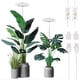 thumbnail image 3 of Luz de cultivo de plantas, yadoker LED de espectro completo para plantas de interior, altura ajustable, temporizador automático, bajo voltaje seguro de 5 V, idea para luz de plantas grandes, paquete d, 3 of 4