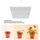 thumbnail image 4 of LED Grow Lights for Indoor Plants IP65 Waterproof Full Spectrum Plant Growth Lamps for Seedling, Veg and Flower AC100-277V EU Plug,DUBUNS, 4 of 5