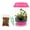Pink Lid+Food, variant on Live Venus Flytrap Plant Kit in 4.5" Purple Terrarium – Includes Food & Tweezers – Easy Indoor Carnivorous Houseplant Gift Fly Trap