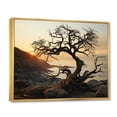 thumbnail image 2 of Designart "Golden Sands Beach Photo VI" Nautical & Beach Floater Framed Canvas Art Print, 2 of 7