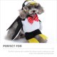 thumbnail image 3 of 1 juego de Penguin Dog Cloak Puppy Cape Dog Halloween Cape Dog Cape traje para fiesta, 3 of 5