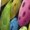 NZ022, variant on Multi Colored Pickleballs Dress Fashion Beach Long Dresses Female Party Printed Sundress