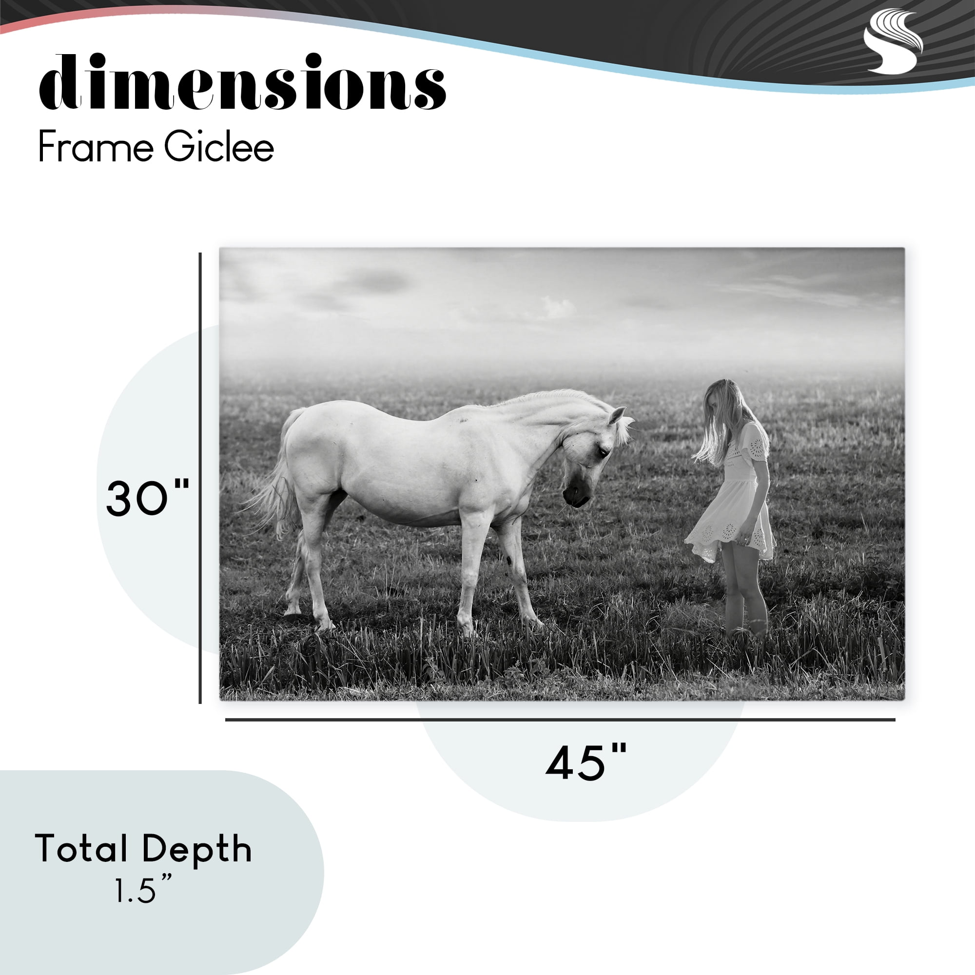 Her White Horse Canvas Wall Art, design by Ata Alishahi