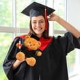 thumbnail image 6 of ​14in PhD Graduation Bear - Pink Faux Velvet Plush w/ Embroidered Regalia, Collectible Scholar Gift Set (Gown, Cap, Diploma, 6+ Safe)​​ Red, 6 of 7
