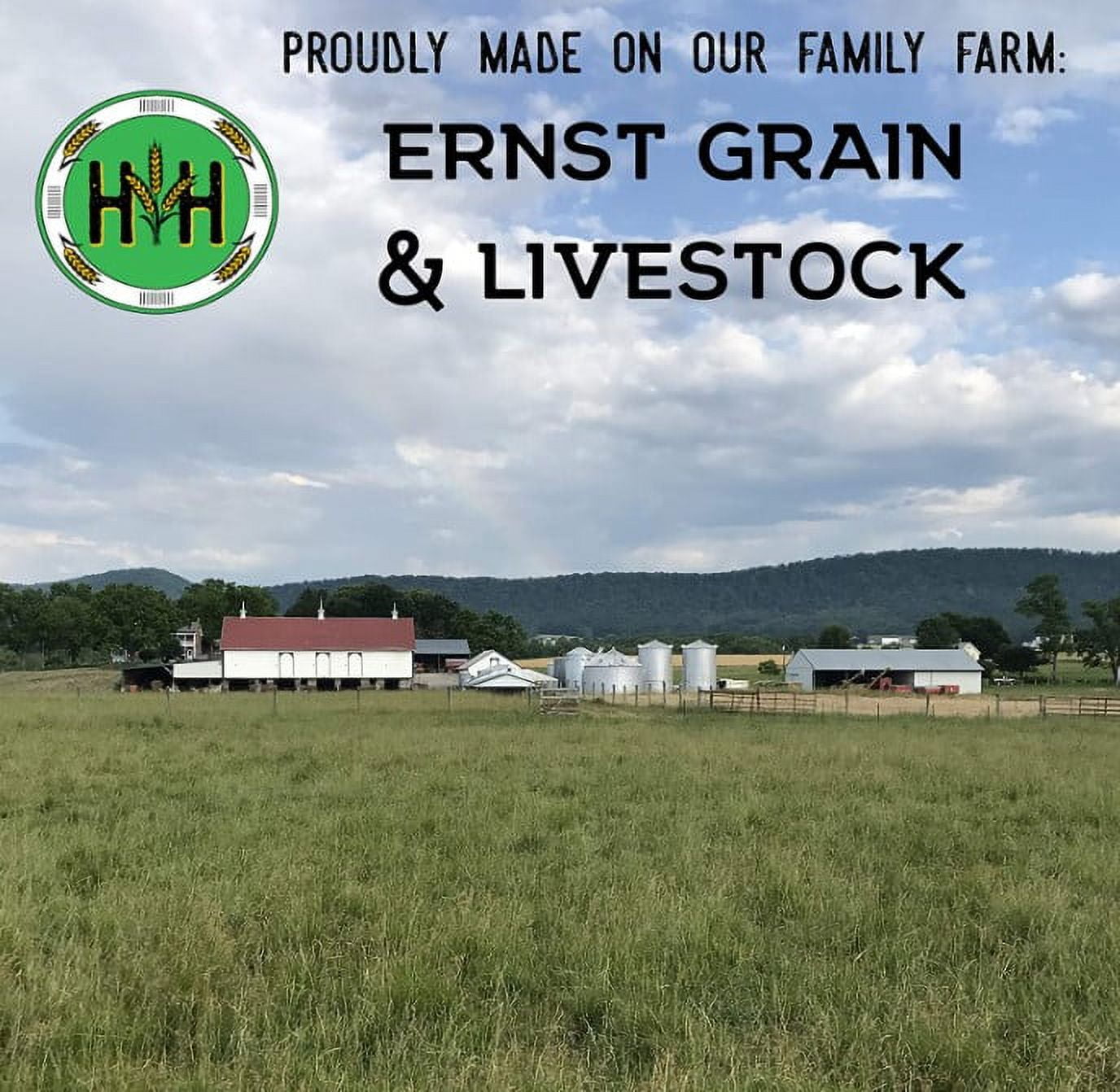Wholesome Harvest Non-GMO Turkey & Game Bird Grower 24% for Growing Turkeys, Peacocks, Guineas, and Pheasants - 40 lb