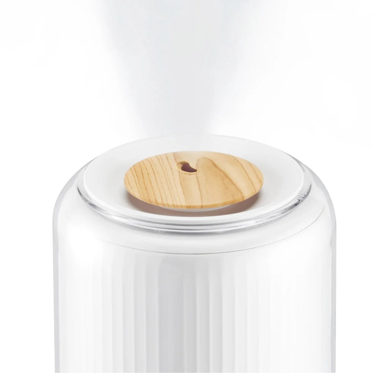 Homedics Warm & Cool Mist Ultrasonic 2G Humidifier