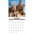thumbnail image 3 of Sassy Jackassy 2026 12 X 12 Wall Calendar, (Hardcover), 3 of 5